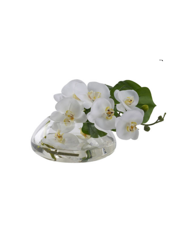 Orchids in Medium Puddle Vase - White