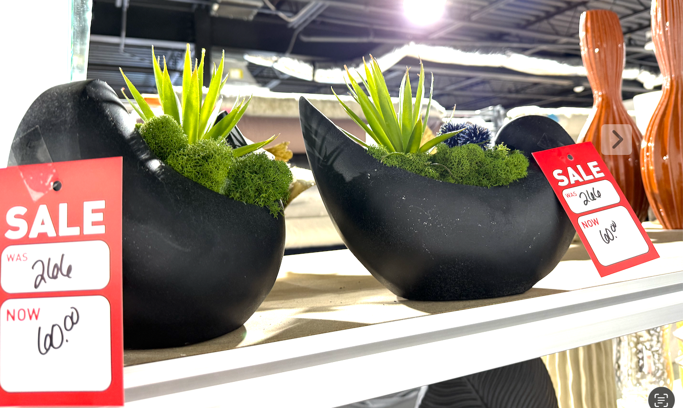 Black Curved Container Floral