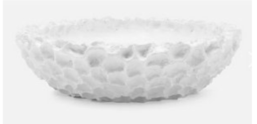 White Coral Bowl