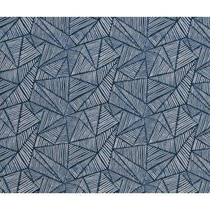 Cash and Carry Fabric