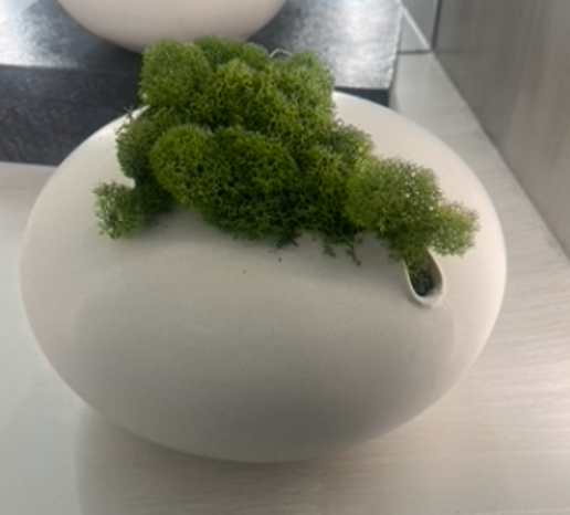 Tambora Cream Vase with Moss