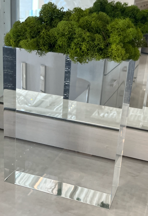 Moss on Acyrlic Based