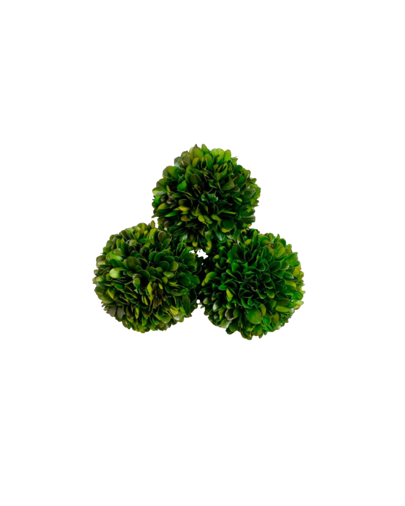 Preserved Boxwood Ball Set of 3 Small  - Green