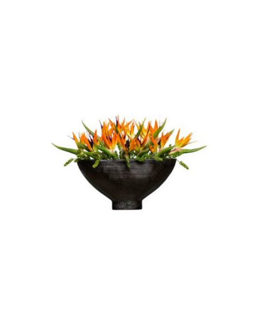 Bird of Paradise Floral - Orange