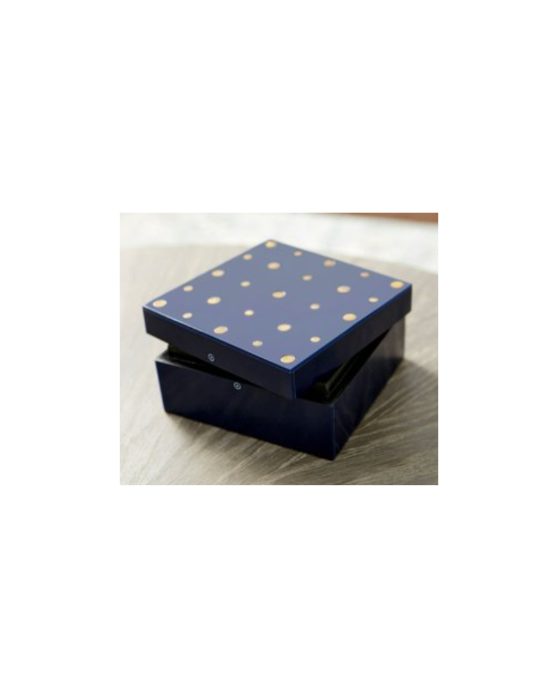 Dotty Box - Navy