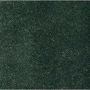 Cash and Carry Fabric