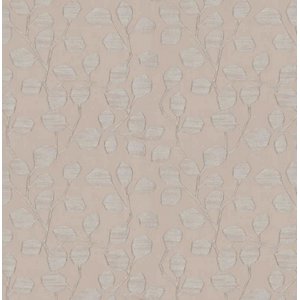 Cash and Carry Fabric