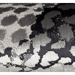 Cash and Carry Fabric