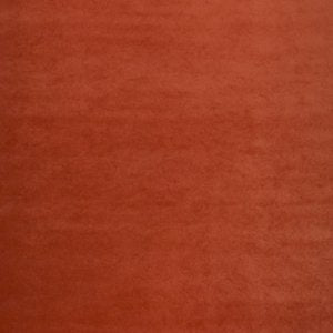 Cash and Carry Fabric