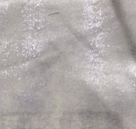 Cash and Carry Fabric