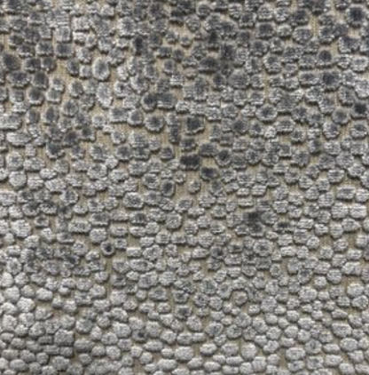 Cash and Carry Fabric