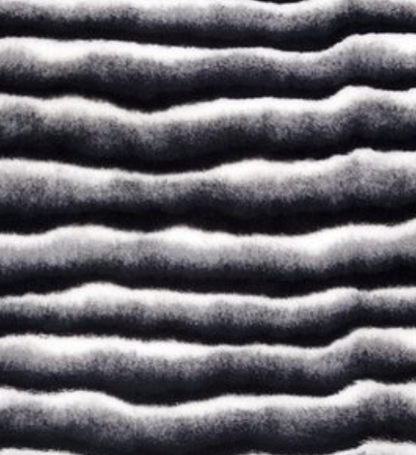 Cash and Carry Fabric