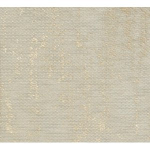 Cash and Carry Fabric