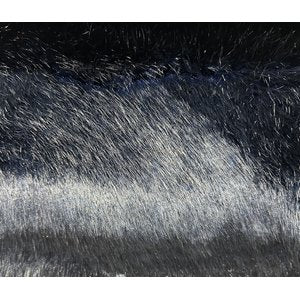 Cash and Carry Fabric