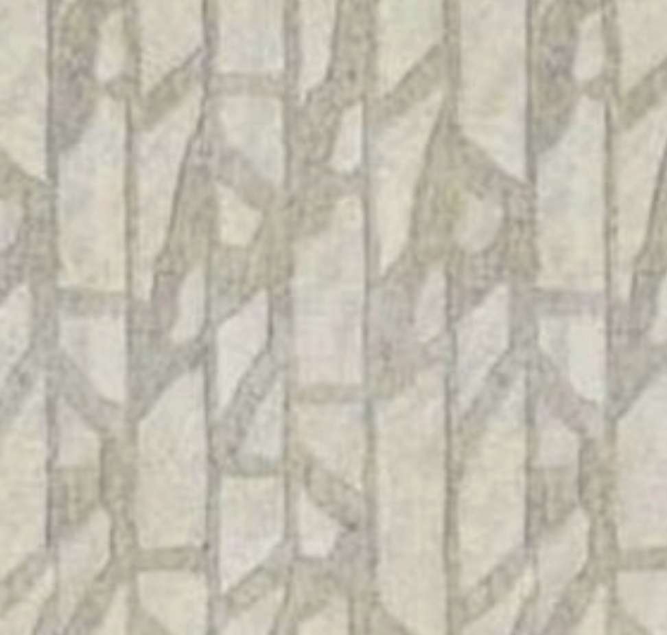 Cash and Carry Fabric