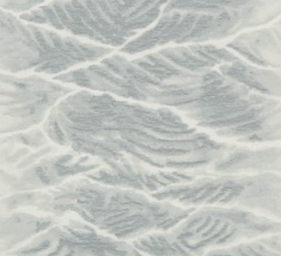 Cash and Carry Fabric