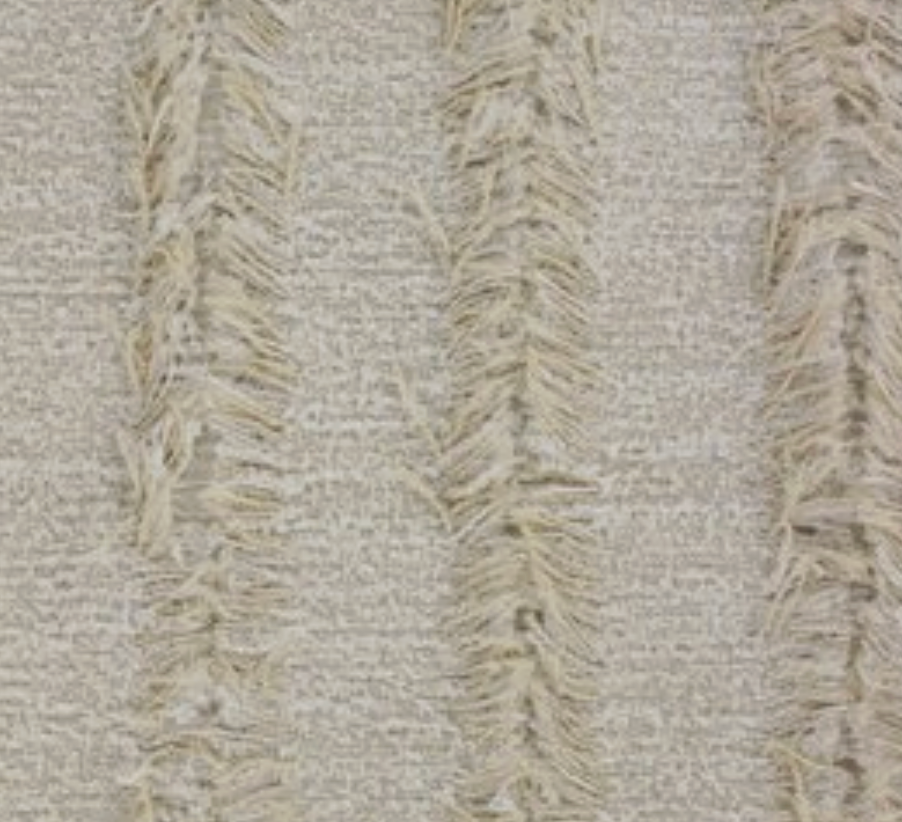 Cash and Carry Fabric