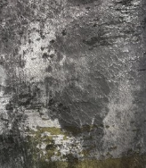 Cash and Carry Fabric