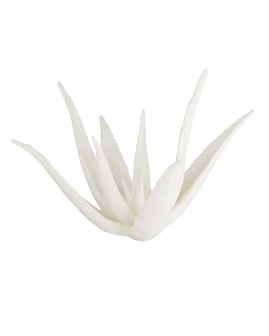 Zaloe Ivory Sculpture - Cream