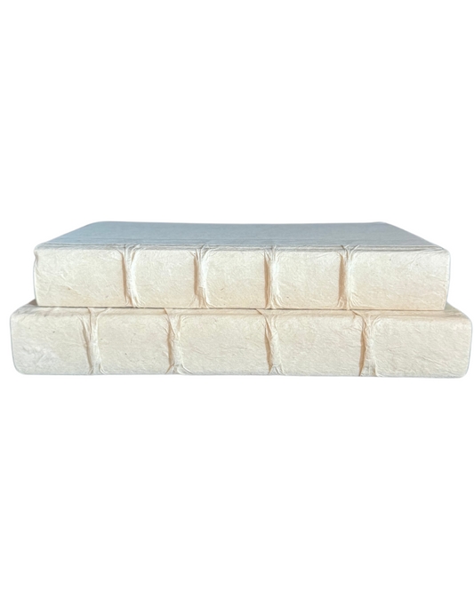 Decorative Books - Champagne - Set of 2