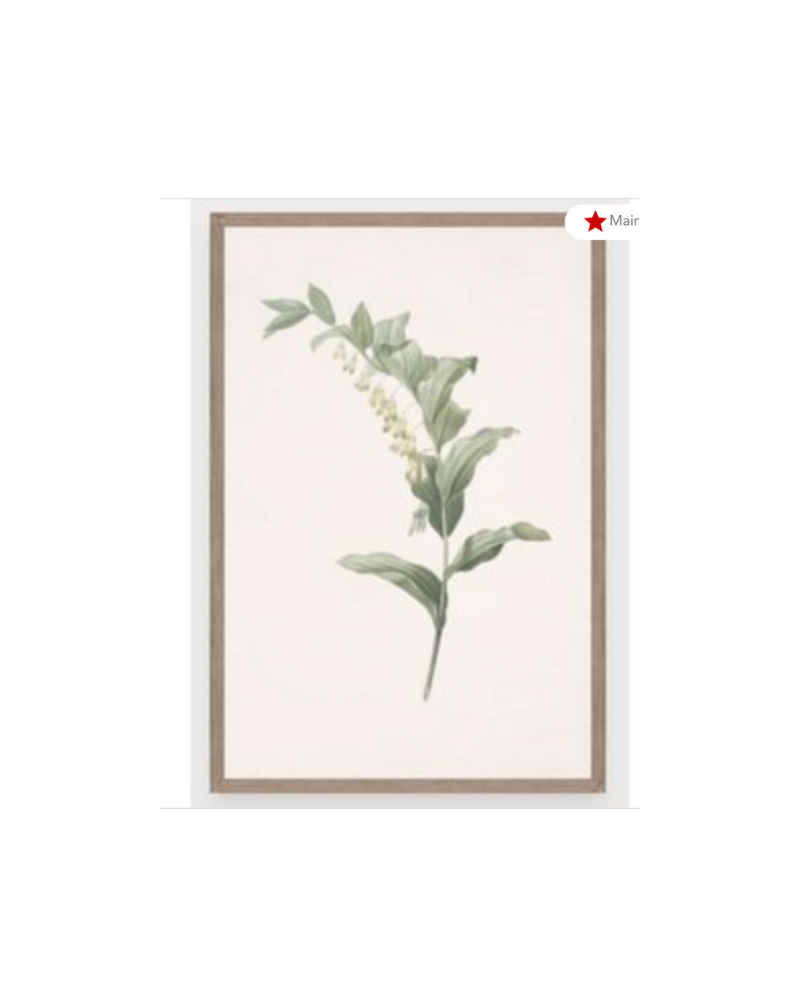 Botanical Art 1 - Sage