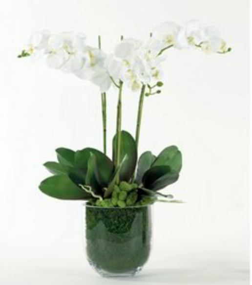 Triple Orchid Clear Vase