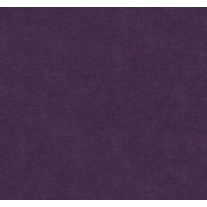 Cash and Carry Fabric